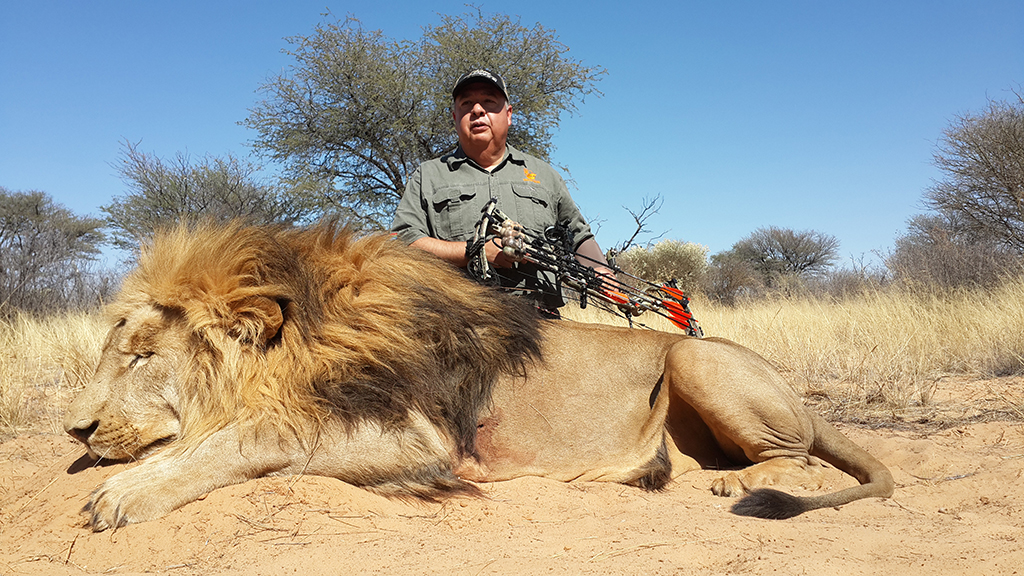 relajado construir estar impresionado cazadores cazando leones ...