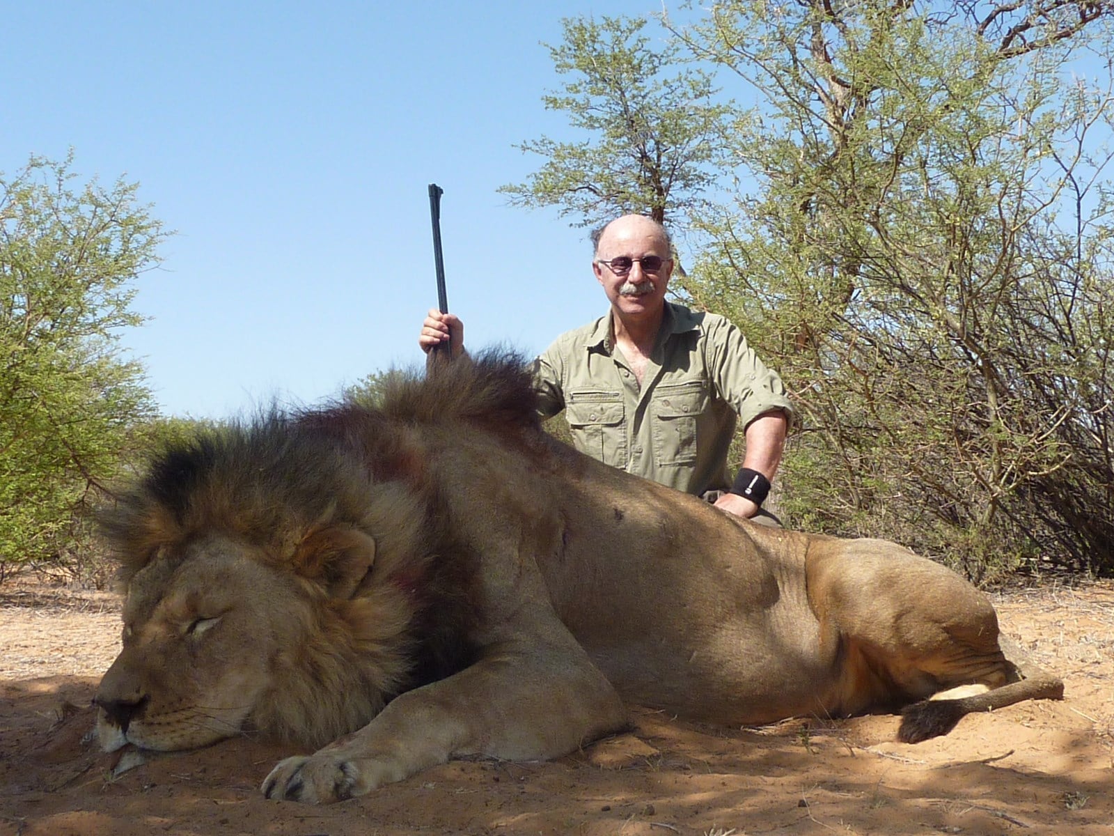 Caza en Sudafrica Leones A La Huella En El Kalahari - de Onís Safaris